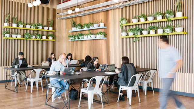 Coworking Insurgentes Sur 601 en Av. de los Insurgentes Sur 601, Nápoles, Benito Juárez, 03810 Ciudad de México, CDMX, México - Avenida de los Insurgentes Sur 601